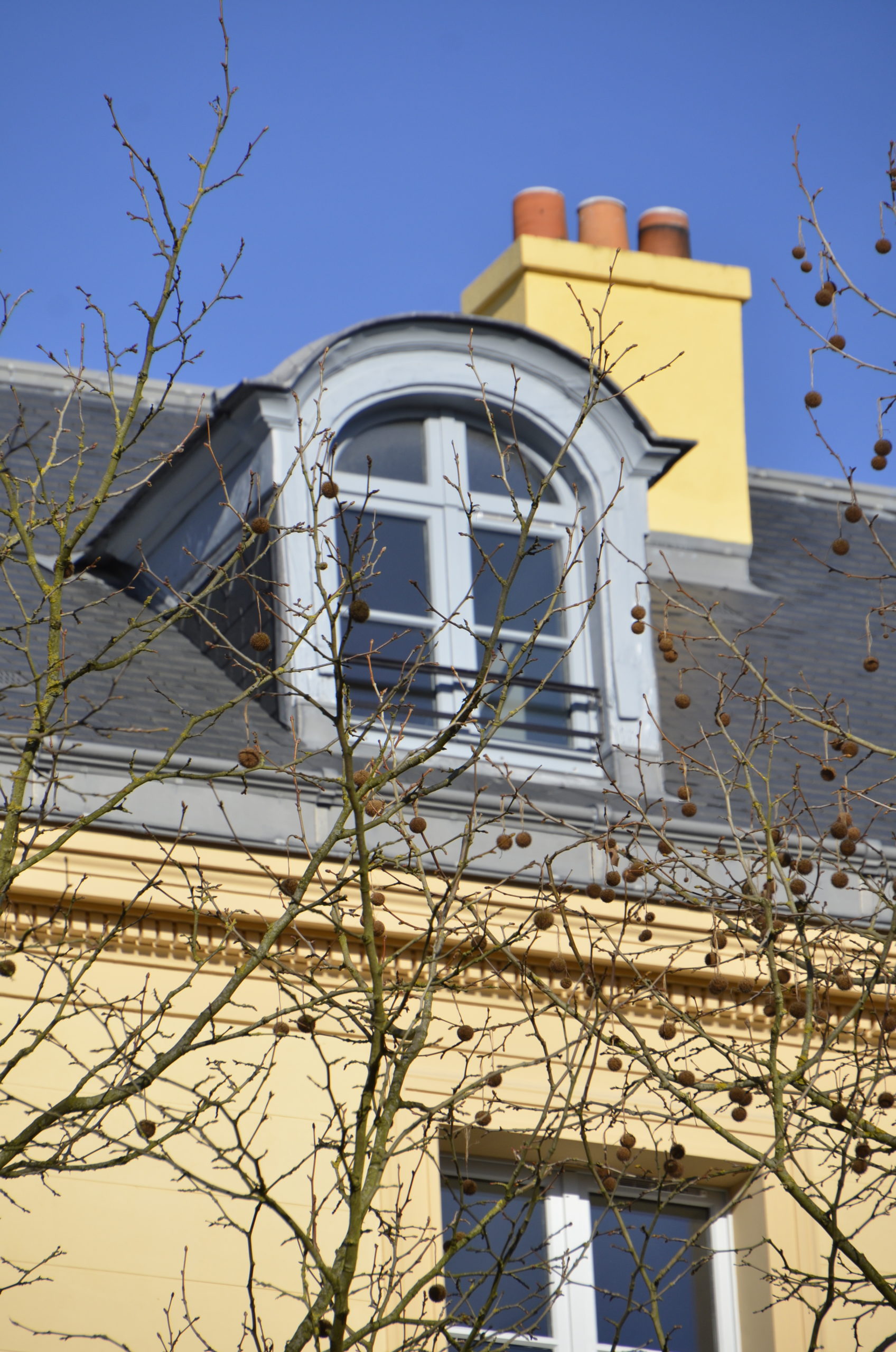 VERSAILLES, LE GARDE MEUBLE DU ROI François 1er